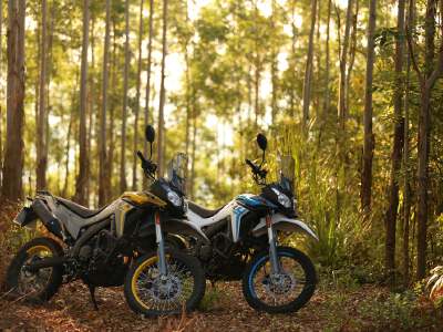 �޼�300GY