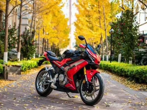 �ɿ� FKM 3GP FK250-GP