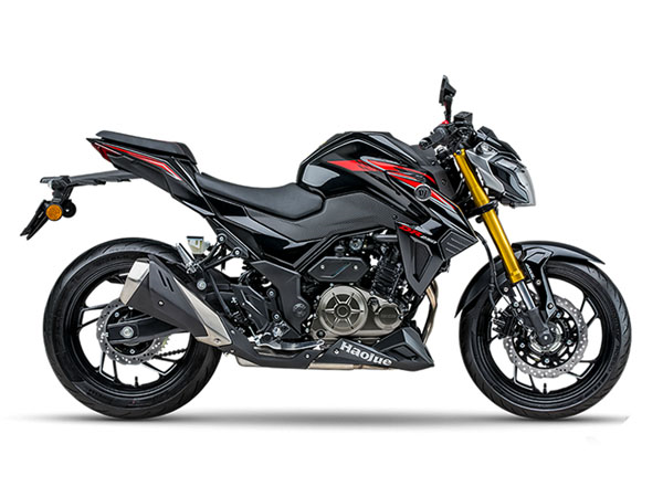  ����DR250