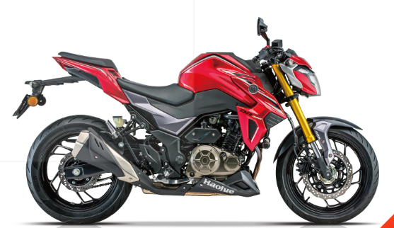  ������ľDR-300