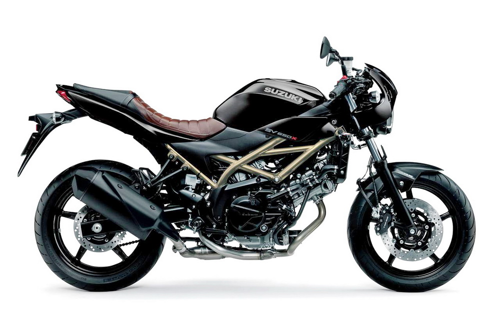��ľ SuzukiSV650X2021 SV650X�ձ�������