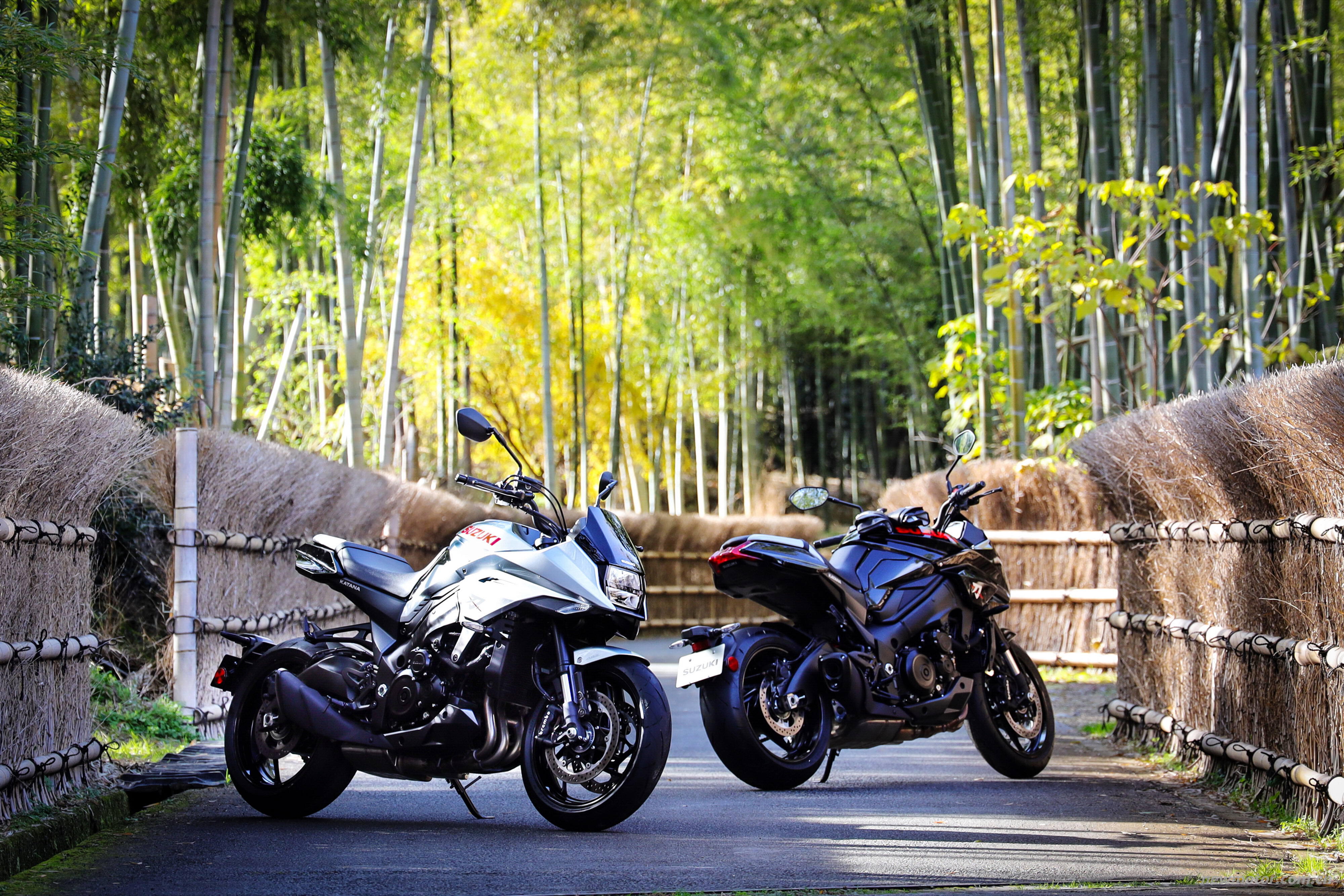 Suzuki Katana �����۳��ֵı���֮��