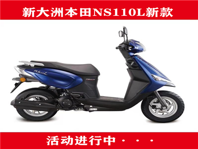  �´��ޱ���Ħ�г��¿�̤�峵NS110L