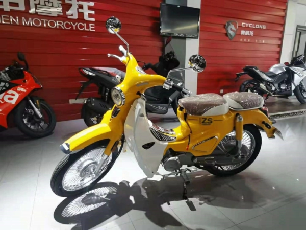 ���곱��YAMI   ����ZS110-13C �ֻ����롭