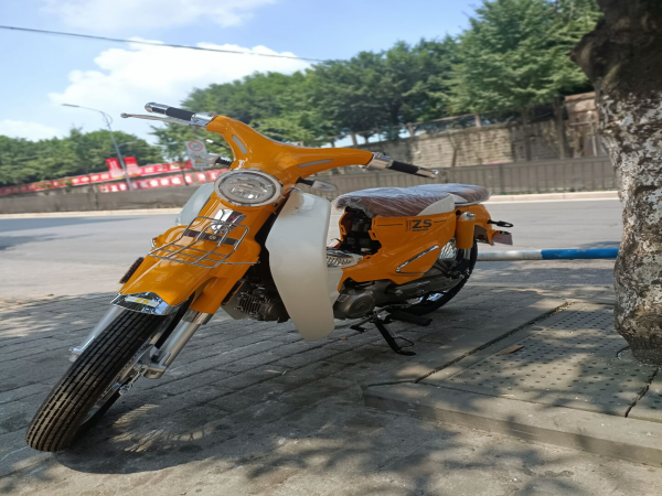  ���곱��yamiZS110-13C������