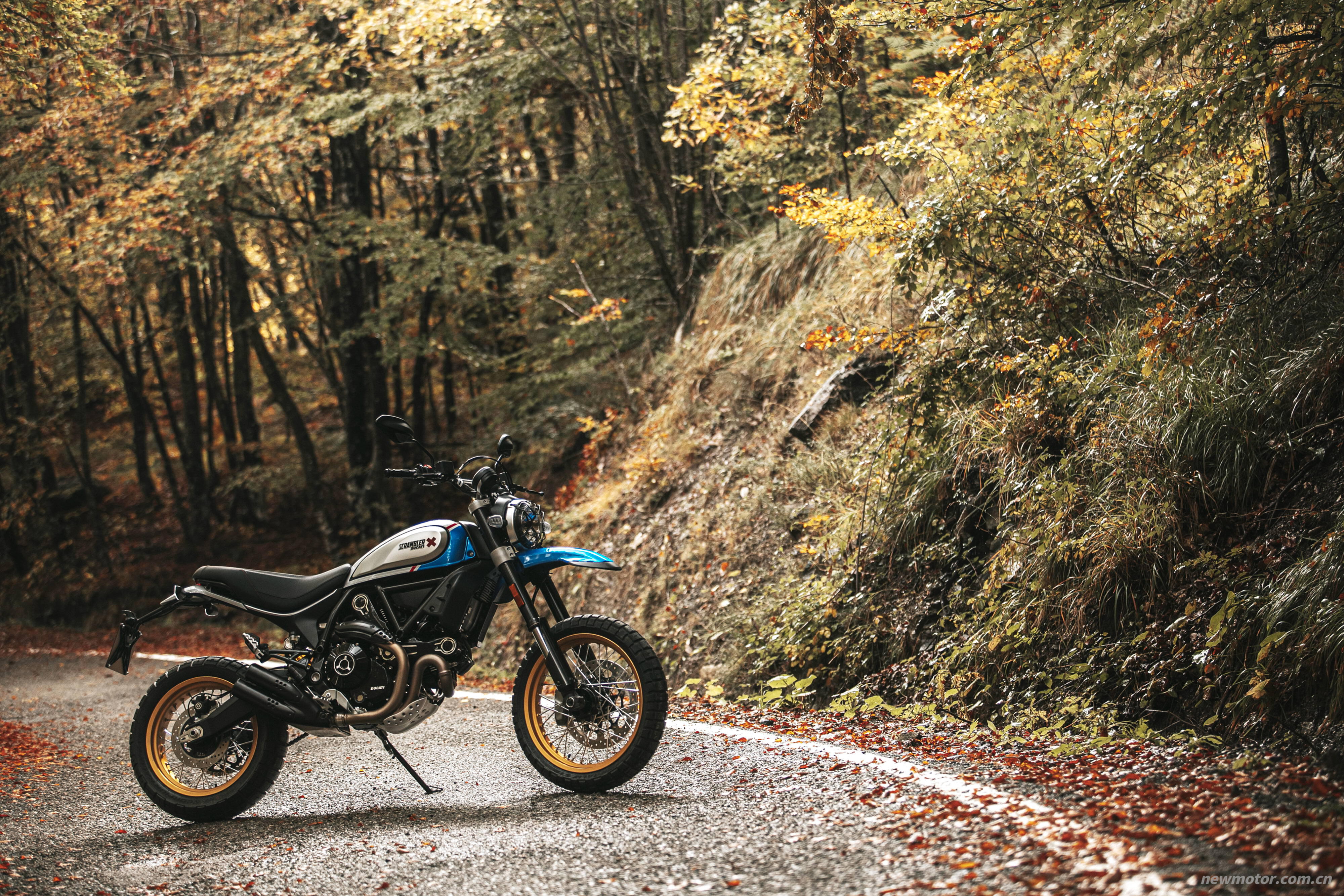 �ſ��� 2022 Scrambler 800 ϵ��