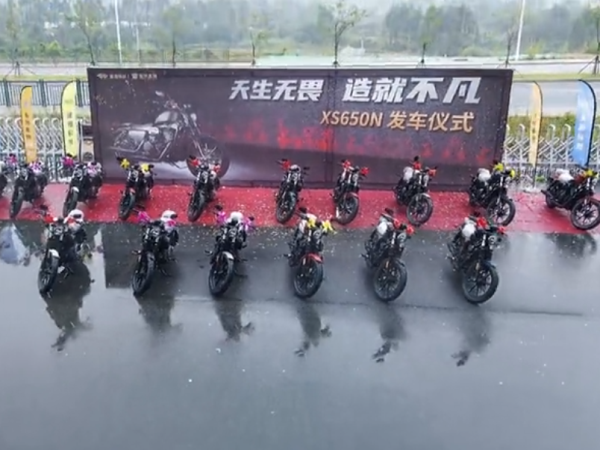 
��˧XS650N������ʽ��ֳ�