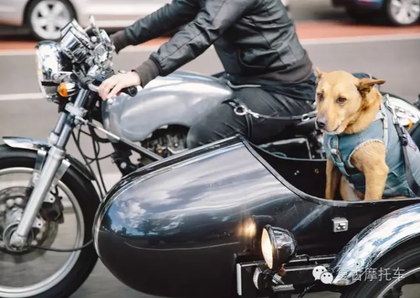 �͹������У�Yamaha&nbsp;SR400&nbsp;Sideca