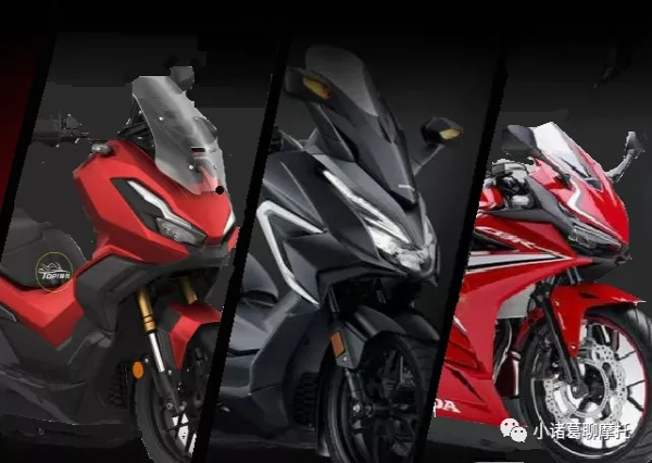 2022�������Ž����¶�����