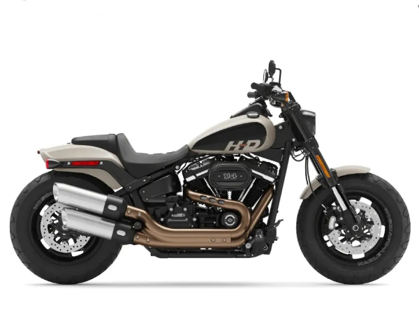 ���״�άɭ Harley-Davidson �ʰ�(2022&nbsp��ɳ����ɫ)