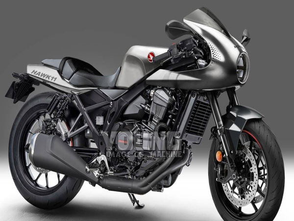 ˫���ӵ�ͷ����HAWK&nbsp;1100��������