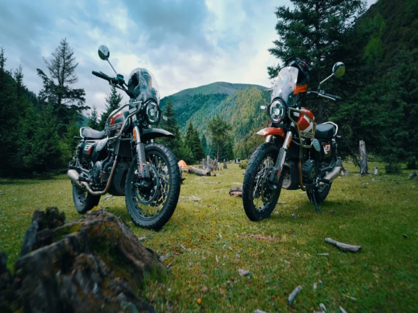 ��Ұ��ʿ������Ӣ��Scrambler�ж�