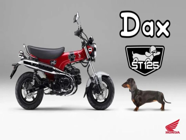 ���﷢��ȫ��ST125&nbsp;Dax����������