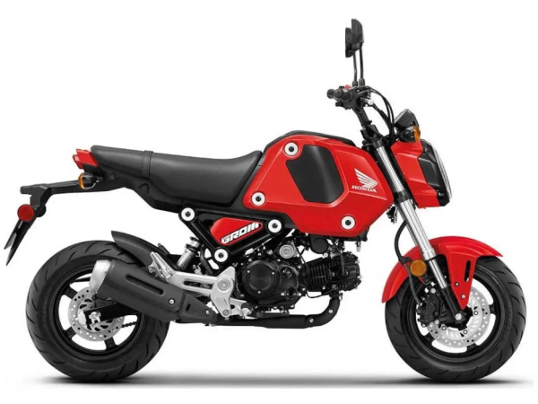 ��ֹ������������2022��������