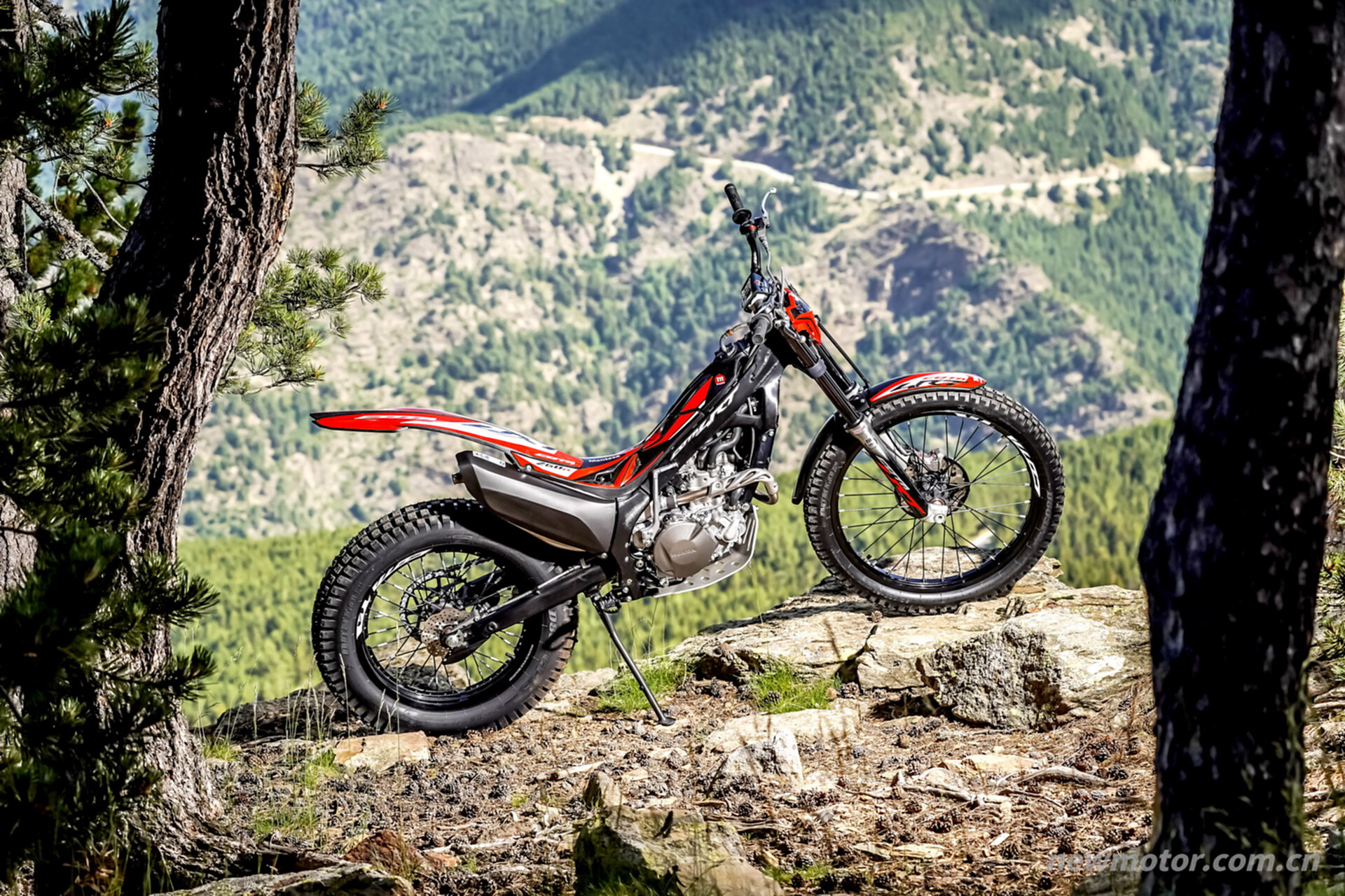 Honda Montesa Cota 4RT260R �������� 2022