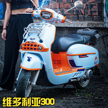 ά������VICTORIA300����ˮ��̤��Ħ�г�����ݼۡ�
