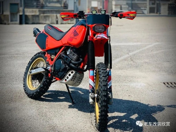 �����ı���XL600LM