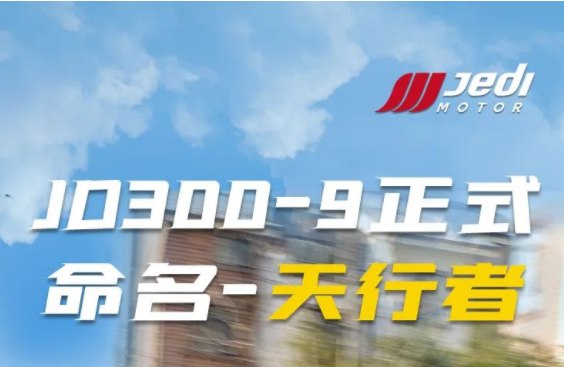 JD300-9��ʽ�����������ܵϡ�����