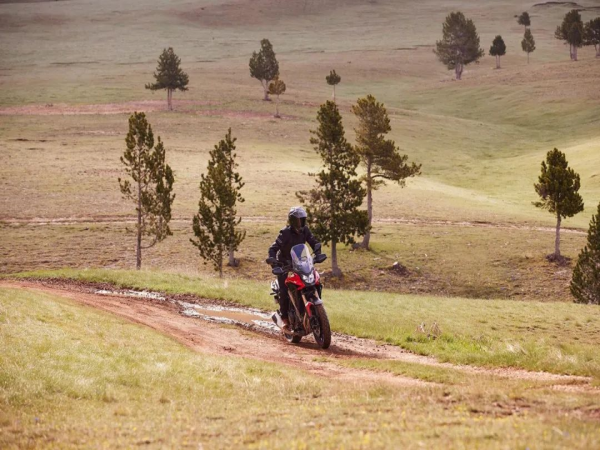 ����ע��ȫ��NX500����ר����CB50