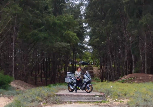 ����Ұ�����Ѱ���������ͯ��