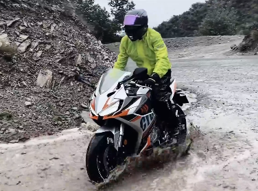��η��Ţ�ͷ�ѩ��������RC401