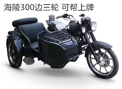 ����300������ �¿�ɰ�����
