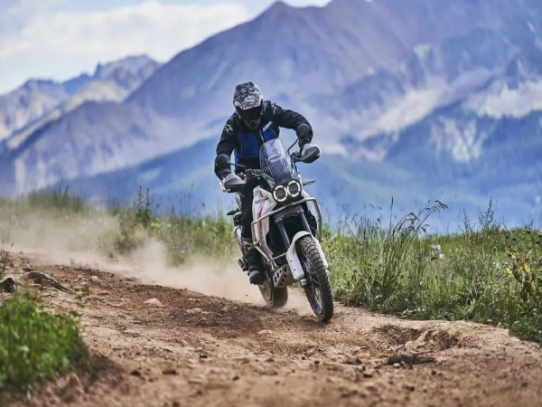 ����659cc���ſ����������³�����