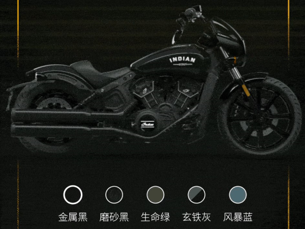 ӡ�ڰ�Scout&nbsp;Rogue�۸񹫲���20.6