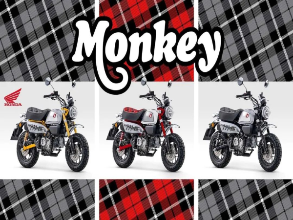 �����¿�Monkey&nbsp;125��������������