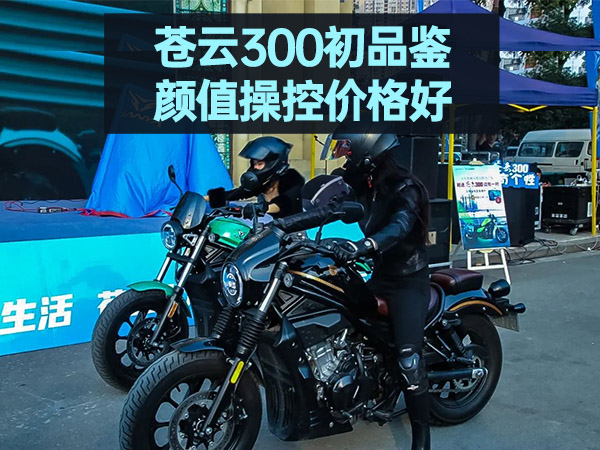 
����300��Ʒ�� ��ֵ�ٿؼ۸��
