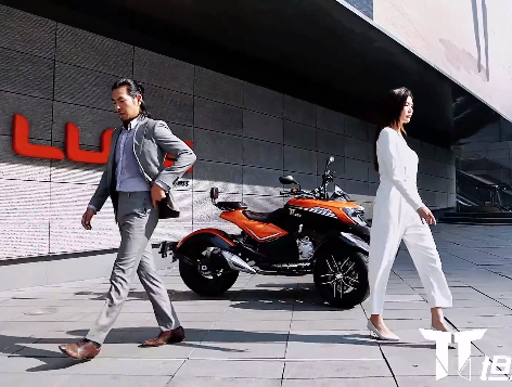 
��ֹ��ɽҰ ����̹;TT300