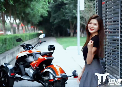 
���ο��� ����̹;TT300