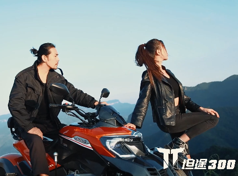 
��������ɽҰ��������Ȥ ̹;TT300