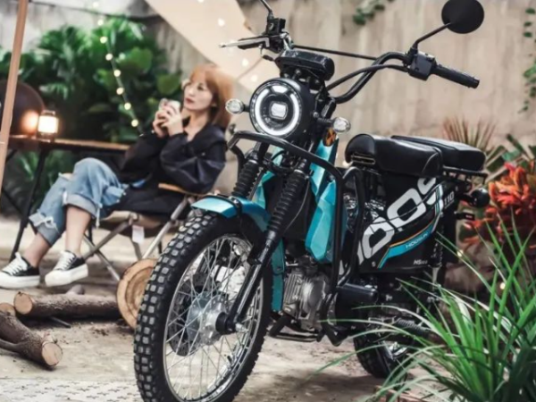 ����ȫ��������CROSSCAT��Խè��