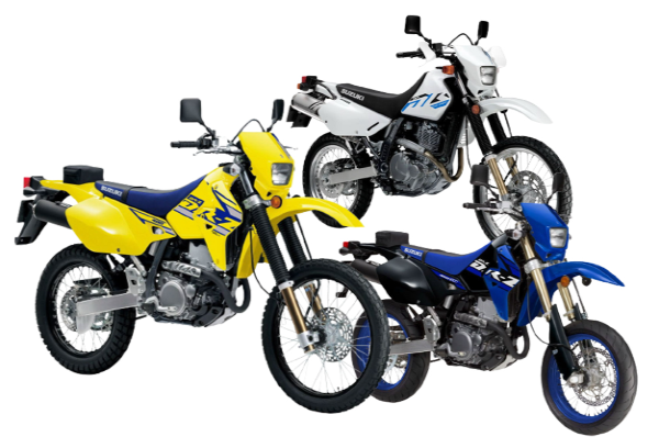 ��ɫ������2024����ľDR-Z400��DR